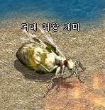 보스 이미지