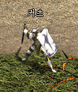 보스 이미지